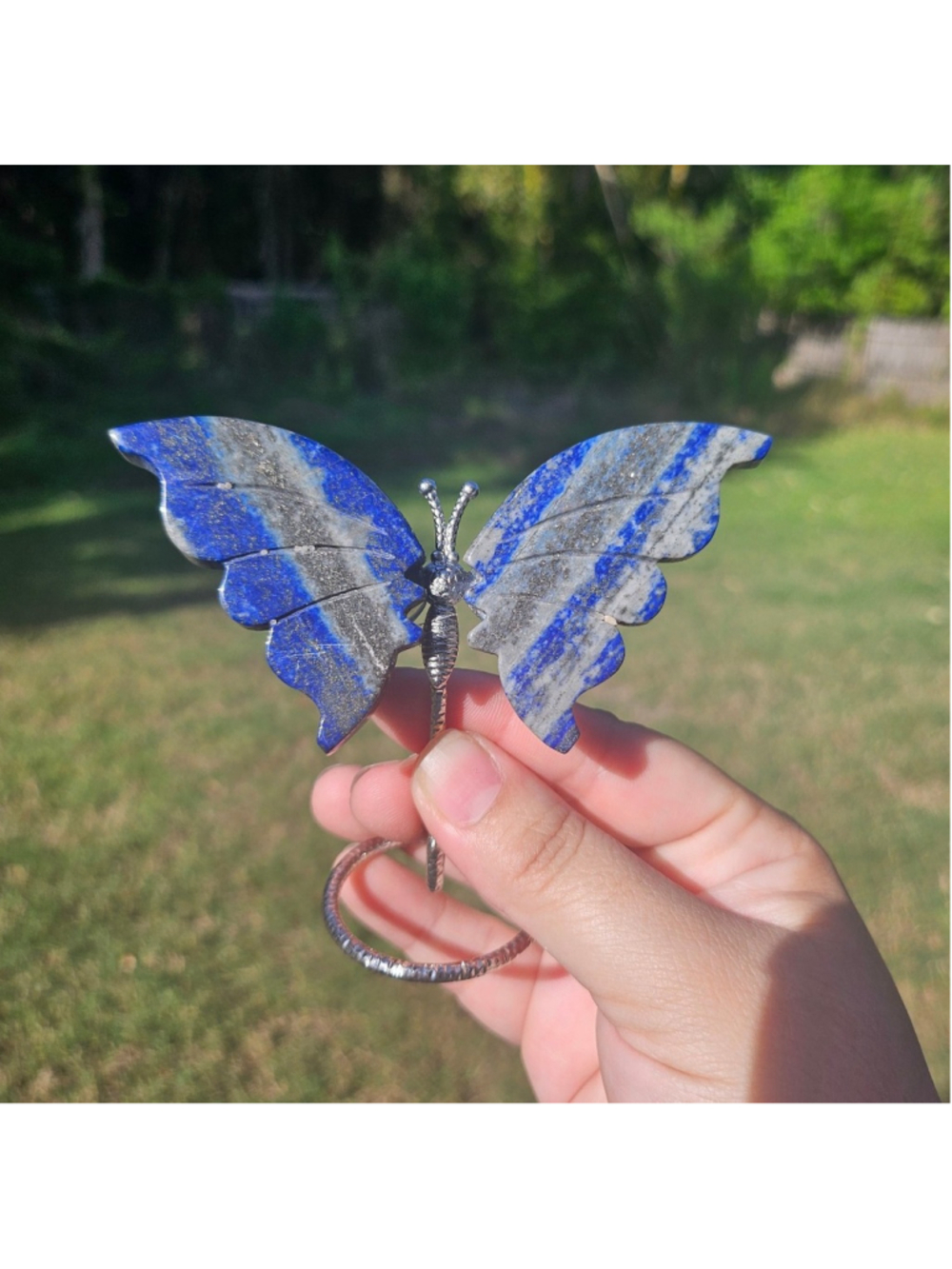Lapis butterfly